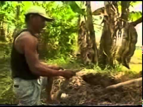A View to a Kill Video