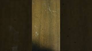 Hear Piano Note B1
