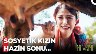 Öykü Ve Ayazın En Komik Sahneleri - Kiraz Mevsimi