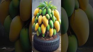 Boost Your Mango Harvest With These Genius Planting Tricks
