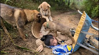 A 17-Year-Old Vietnamese Girl In Distress Was Helped By A Smart Dog - Ha Thị Muôn