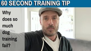 60 Second Training Tip: Why does so much dog training fail?
