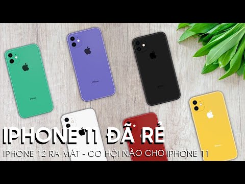iPhone 12 ra mắt có nên mua iPhone 11 khi giá đã rẻ?