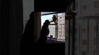 Clean With Me Kids Rooms Tidy Up Mom Guilt Chat Cleaning Motivation