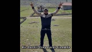 Həsrət Qoparıb, Hicran Apardı