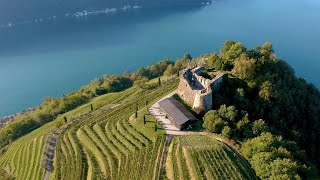 Stories From Ticino