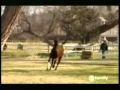 Wildfire episodio Terapia dell'amore.mp4