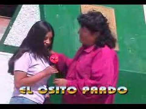 VIDEO OSITO PARDO video osito pardo: