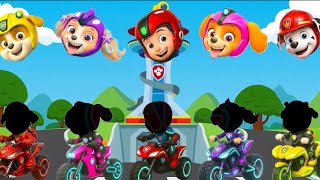 We Tested Paw Patrols Real-Life Rescue Mission