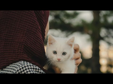 No sound video Watch and enjoy 