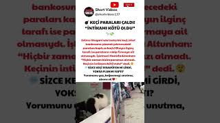 Keçi̇ Bankoya Gi̇rdi̇, Paralari Kapip Kaçti