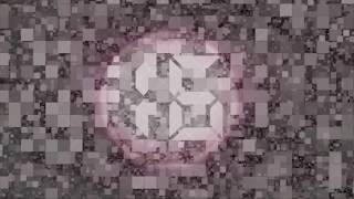 All Leaked Echo Videos Played Backwards At The Same Time Hidden Messages?