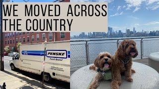 CAVAPOO Life Update & Moving Our Dogs Across the Country?? | archie & alfred