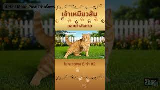 เจาเหมยวสม โยคะลดพง