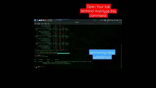 Networks Address Not Showing In Kali Linux