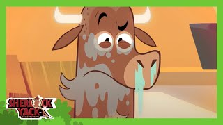 Sherlock Yack Who Made The Parrot Sneeze? Mystery At The Zoo .Official