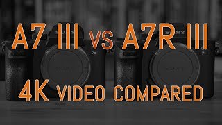 Sony A7 Iii Vs A7R Iii - 4K Video Comparison