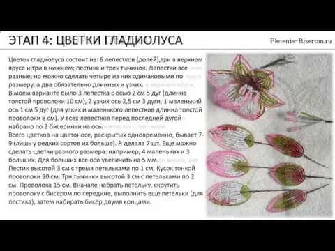 Схема гладиолуса из бисера мастер класс Схема гладиолуса из бисера мастер класс