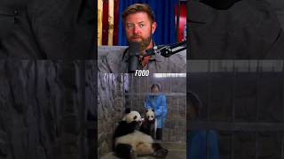 Pandas Are So Dumb