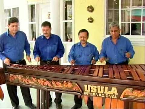 Image Result For Caracol En Vivo Image Result For Caracol En Vivo
