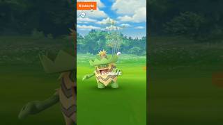 I Caught Wild Pokemon Ludicolo In Pokemon Go