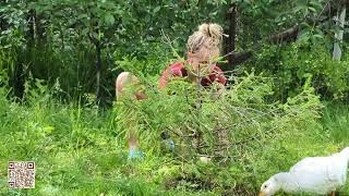 Vlog Marta The Gardener