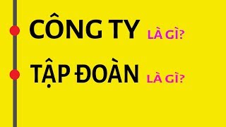 Cty Tnhh Là Gì? Cty 1 Thành Viên Là Gì? Hiểu Rõ Trong 5 Phút