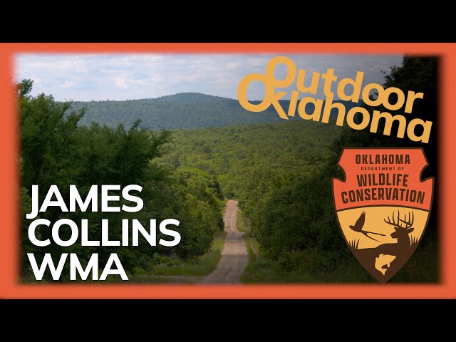 Watch James Collins WMA on YouTube.