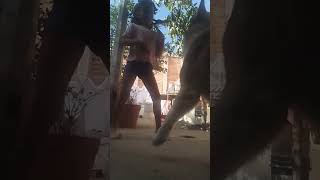 Me Gusta Mucho Bailar