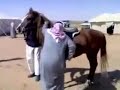 Lucu Arab Gokil images Lucu Arab Gokil
