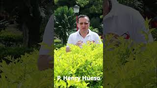 Diferencia Entre Carta Y Epístola