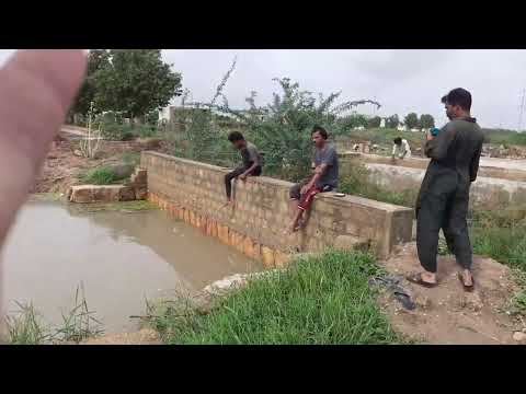 Amazing Fishing ||muhammad mubashir fishing |unique fishing video|| Awesome fish catching ||