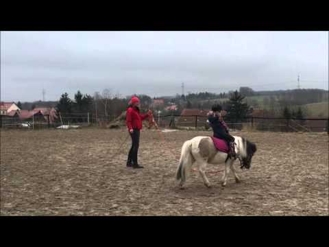 Partnersuche viernheim image 3