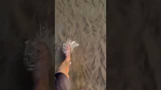 Watch Your Step