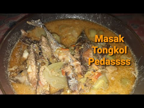 Masak Tongkol Pedasss Tomat ijo
