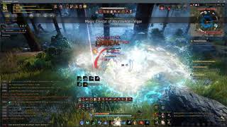 Witch Pvp Vs Art Guild