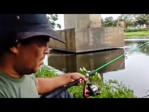 #ESTOU #QUASE #FICANDO #LOUCO #SEM #PEGAR O #PEIXE #pescaria #urbana #ESTOU #QUASE #FICANDO #LOUCO #SEM #PEGAR O #PEIXE #pescaria #urbana