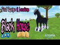 Utopia: Origins - How to tame the Black Horse / Feed Recipe / Blue Lotus Locations