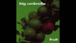 Watch Big Umbrella The Way Of All Storms video