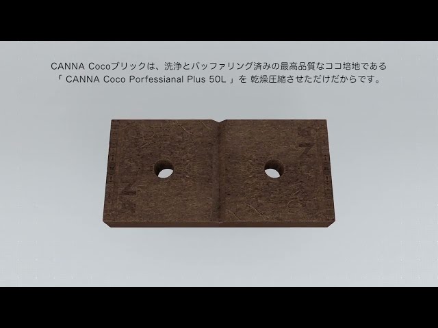 Watch (日本/Japanese) CANNA Cocoブリック on YouTube.