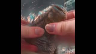 Is It Difficult To Crush Godzilla?