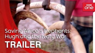 Saving Africa's Elephants: Hugh and the Ivory War | Trailer - BBC One