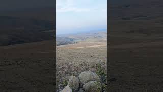 Sarvat