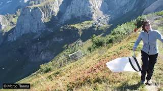 Watch scientists catch migrating insects in the Alps | Science News