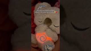 Cuddle Up With Lullabear Koala Is Here To Lull Your Little One To .