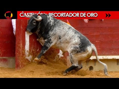 CASTELLÓN - RECORTADOR DE ORO Y DAMAS DEL RECORTE 04/03/2018