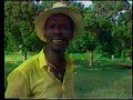 Love Fever- Leroy Smart
