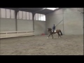 tangelo x action hero jumping under saddle