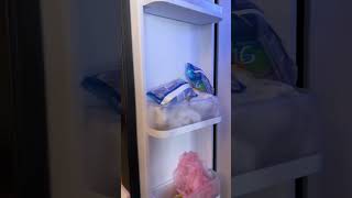 Oops It Happens Best Funny Video By Tiktok Family