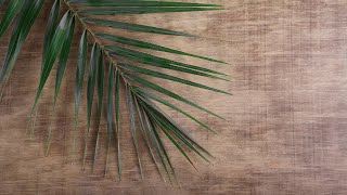 Leading into Palm Sunday